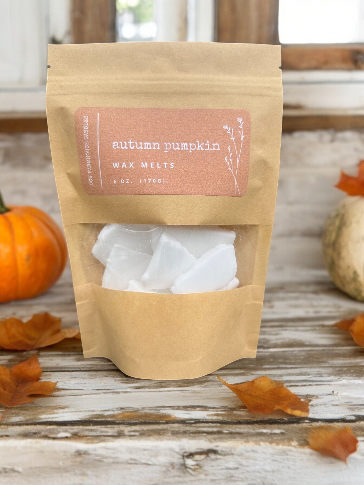 Autumn Pumpkin