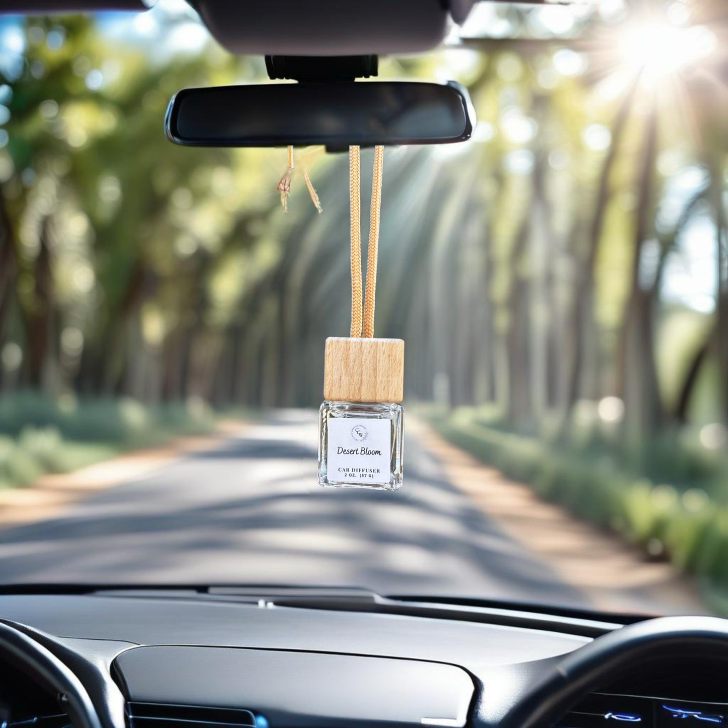 Spring~Summer Car Diffuser