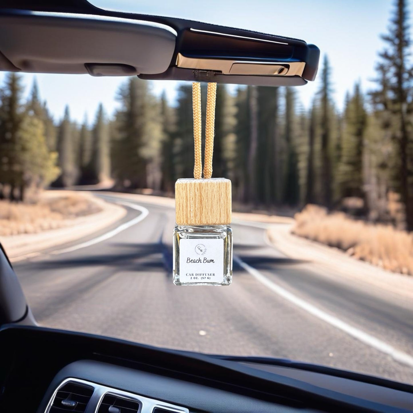 Spring~Summer Car Diffuser