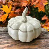 This off-white ceramic pumpkin candle encapsulates the essence of autumnal charm and warmth. Handcrafted with meticulous attention to detail
